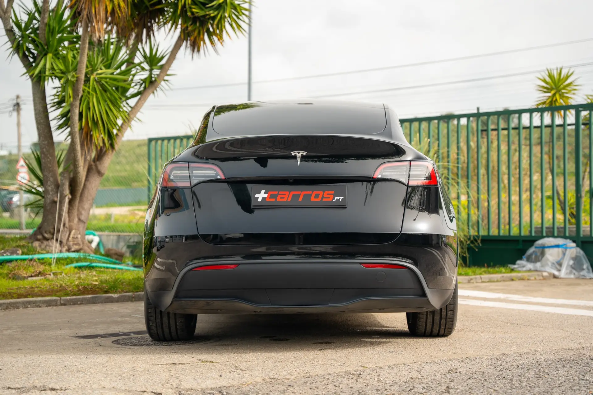 Tesla Model Y Standard 7