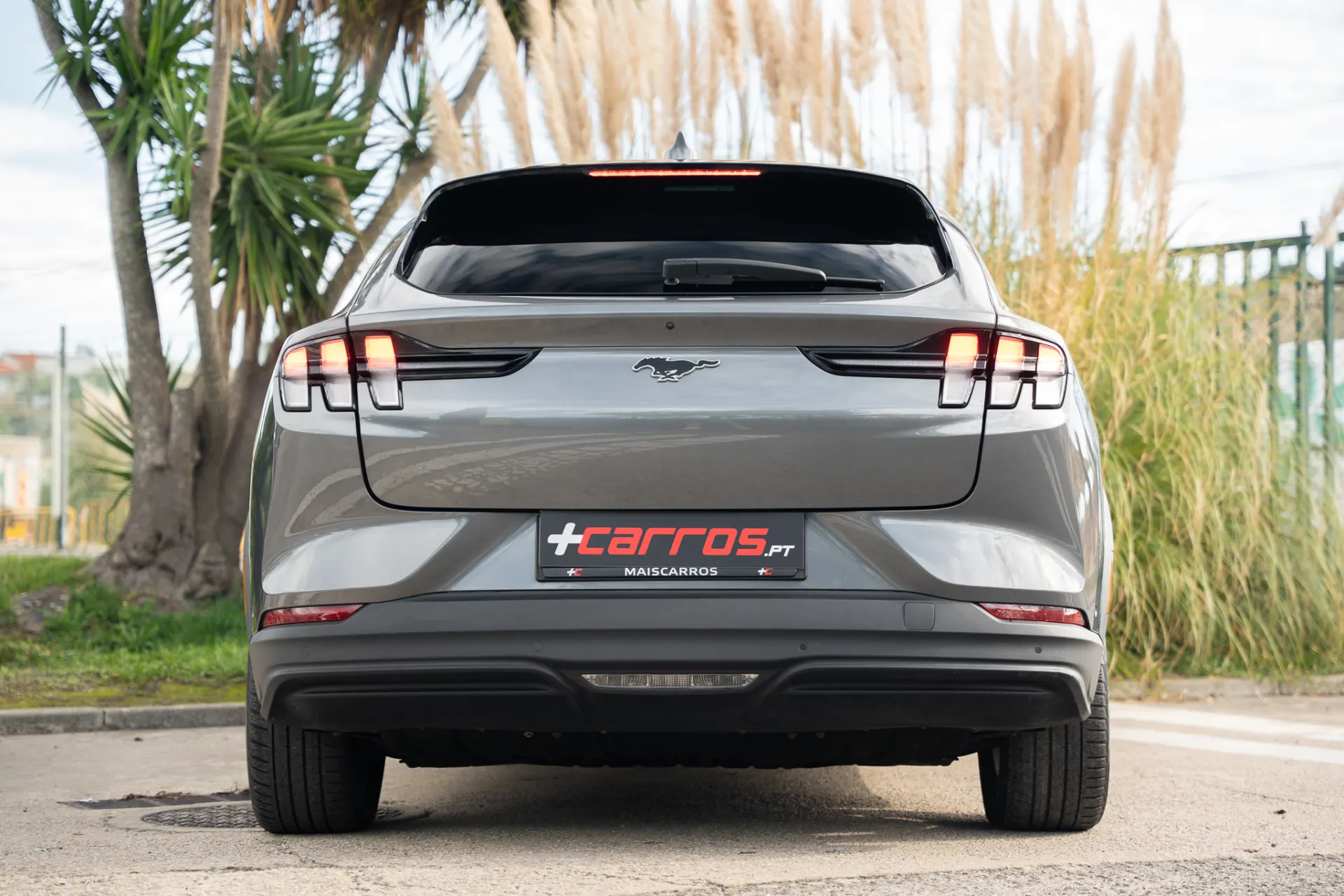 Ford Mustang Mach-E Standard 4