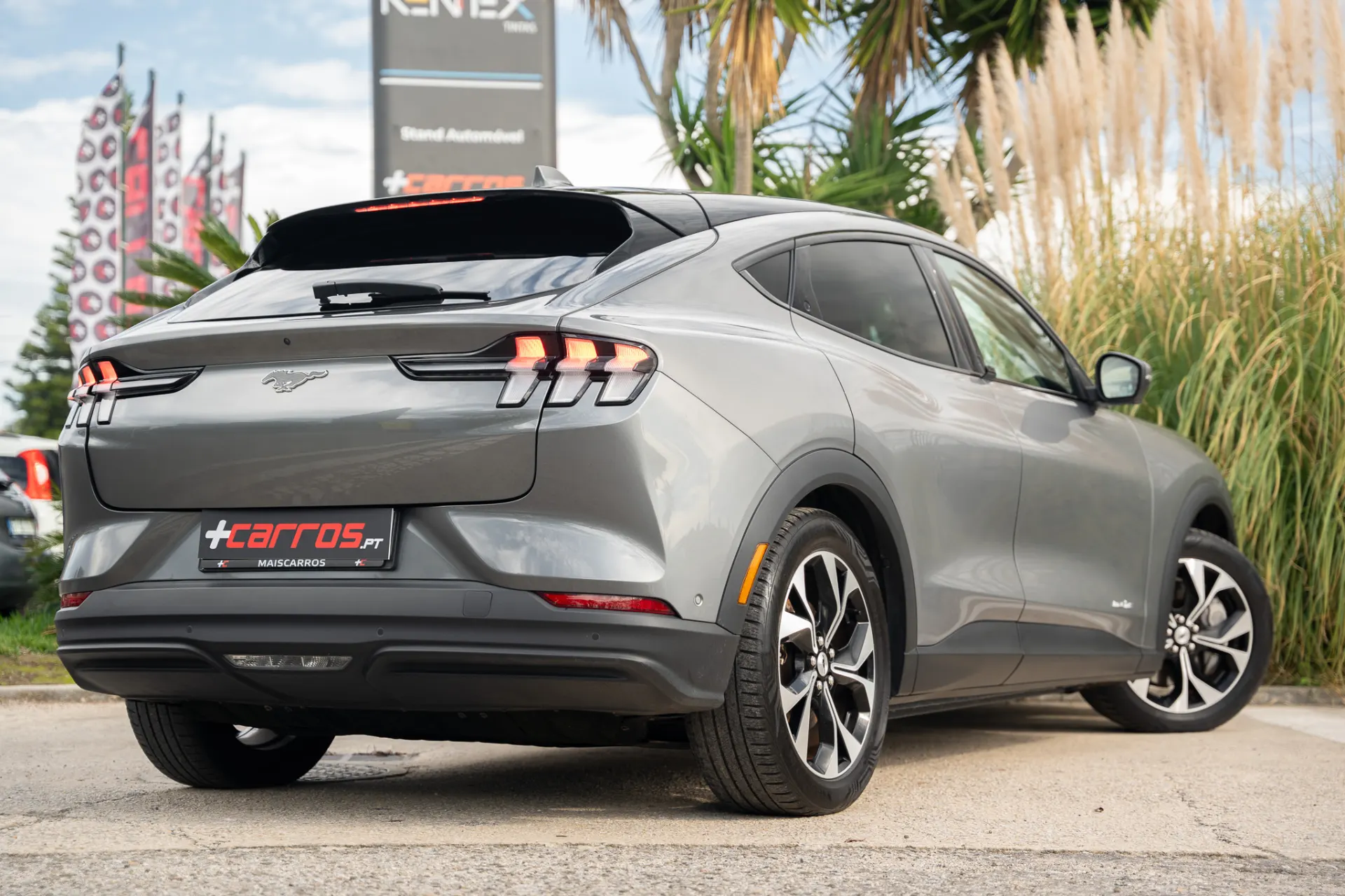 Ford Mustang Mach-E Standard 6