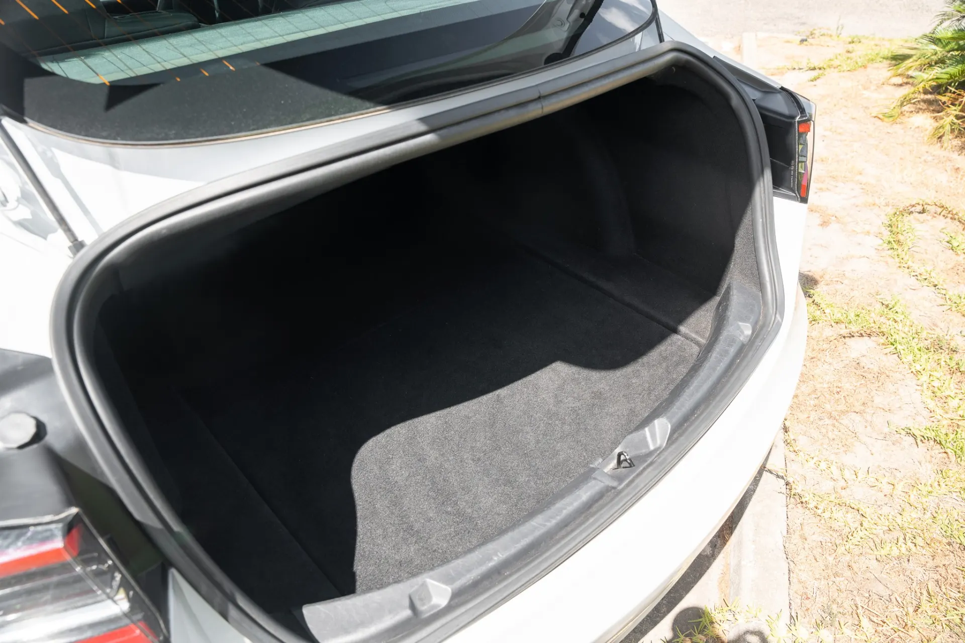 Tesla Model 3 Standard RWD Plus 19