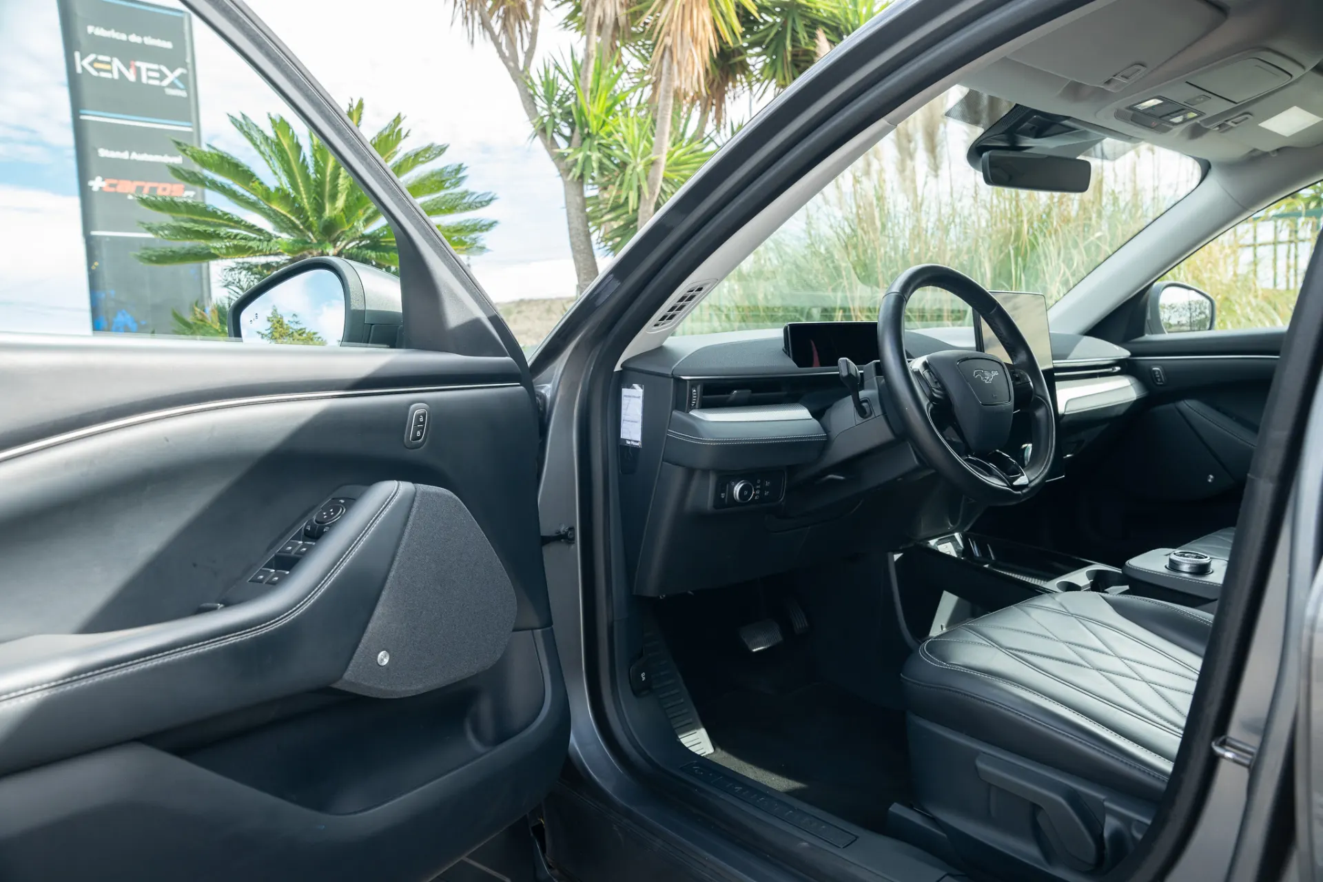 Ford Mustang Mach-E Standard 22