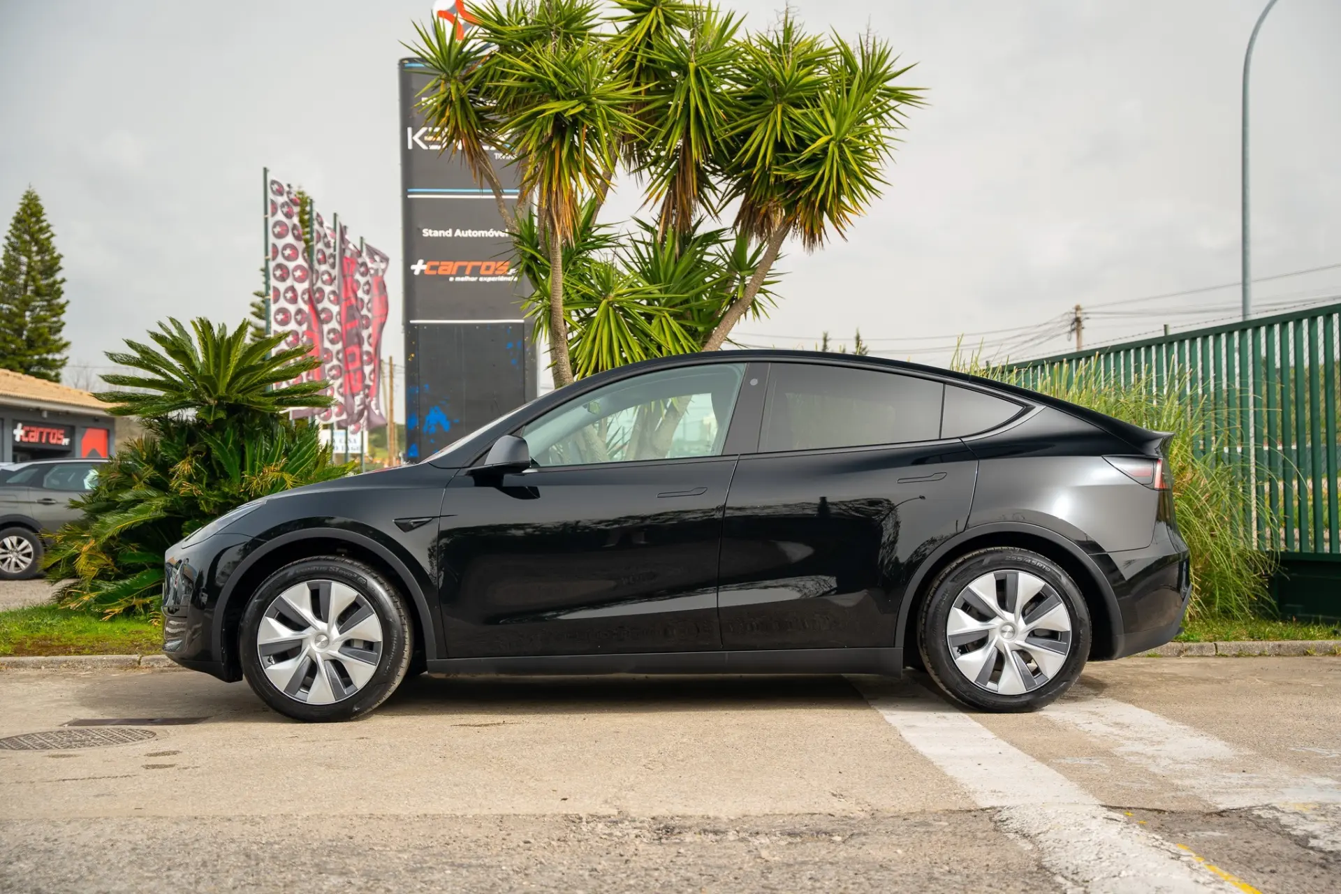 Tesla Model Y Standard 6