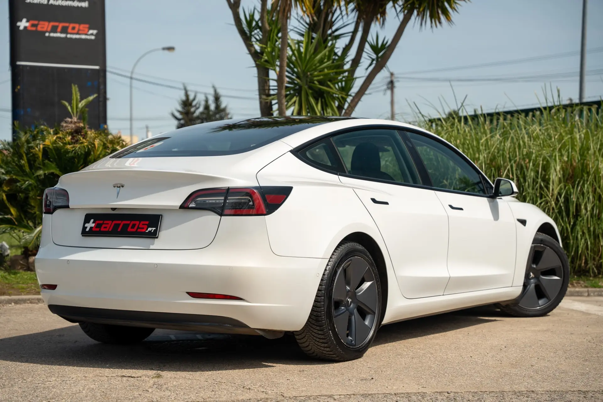 Tesla Model 3 Long Range Tração Traseira 4