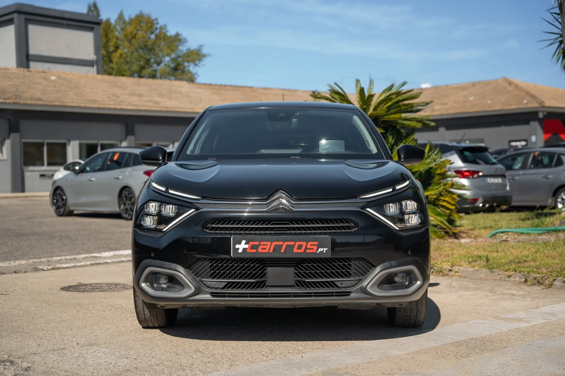 Citroen C4 PureTech 130 Stop & Start Shine 3
