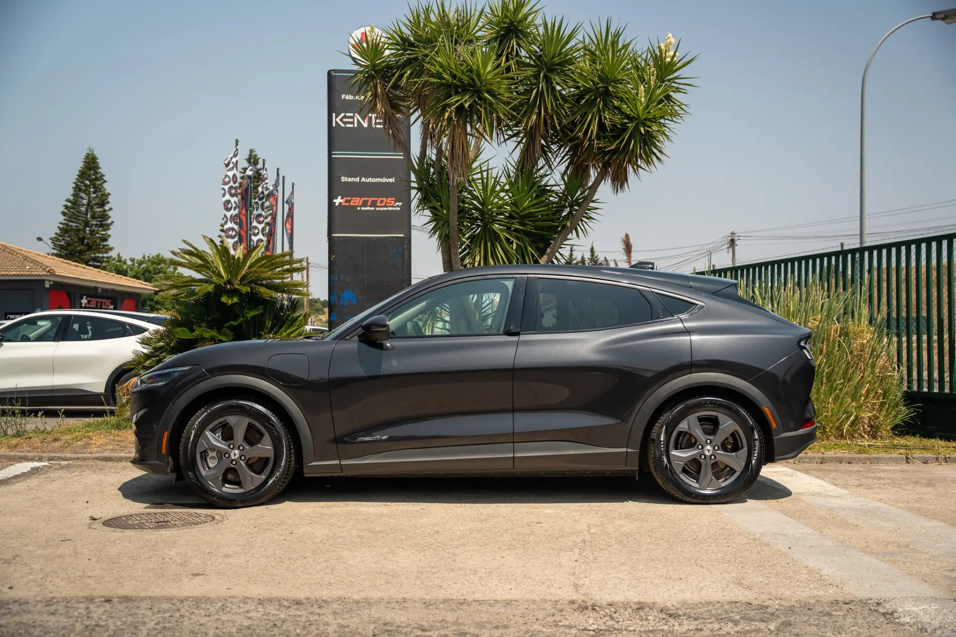 Ford Mustang Mach-E Standard 8