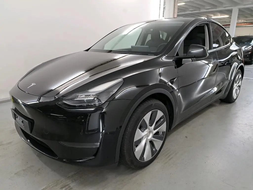Tesla Model Y Long Range Dual Motor AWD 1