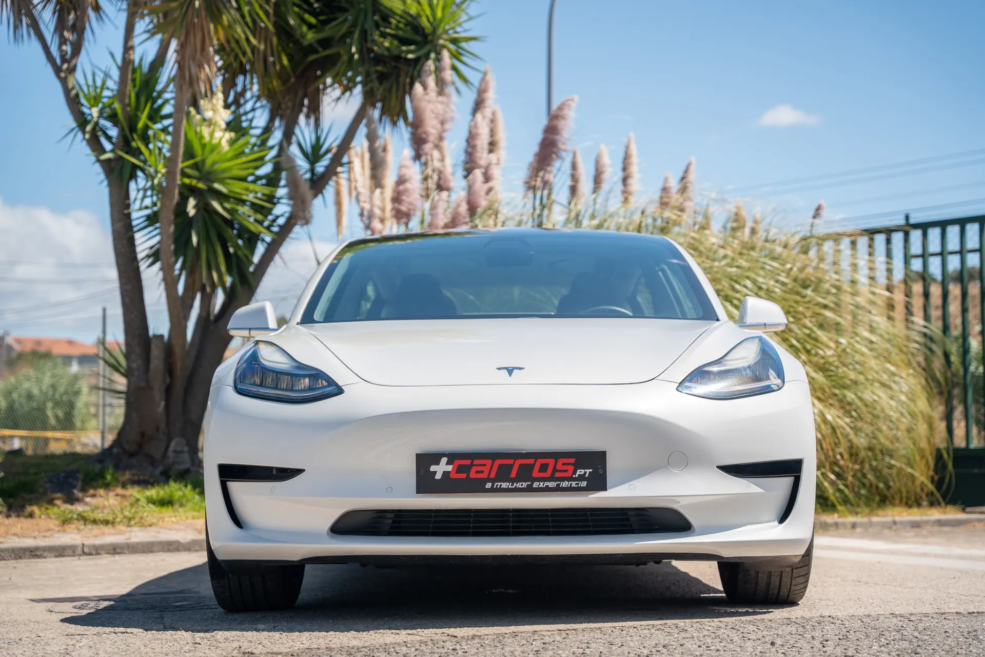 Tesla Model 3 Standard RWD Plus 3