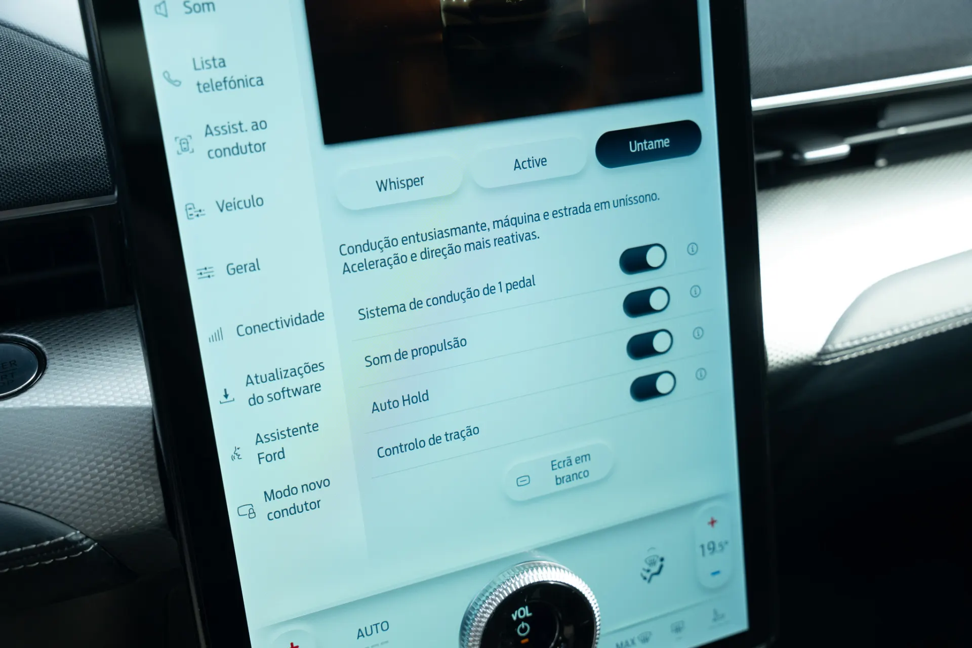 Ford Mustang Mach-E Standard 13