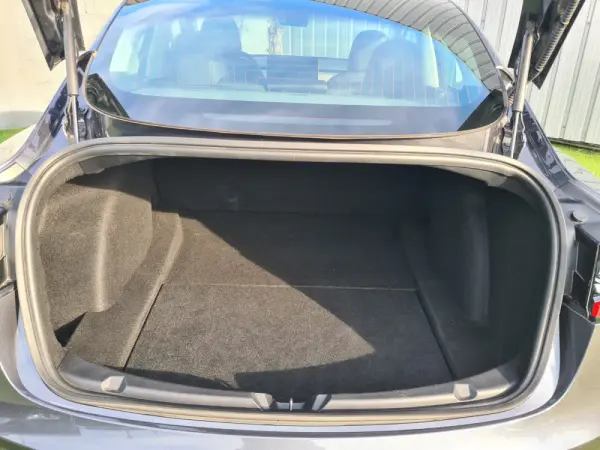 Tesla Model 3 Standard Plus 10