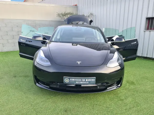 Tesla Model 3 Standard Plus 14