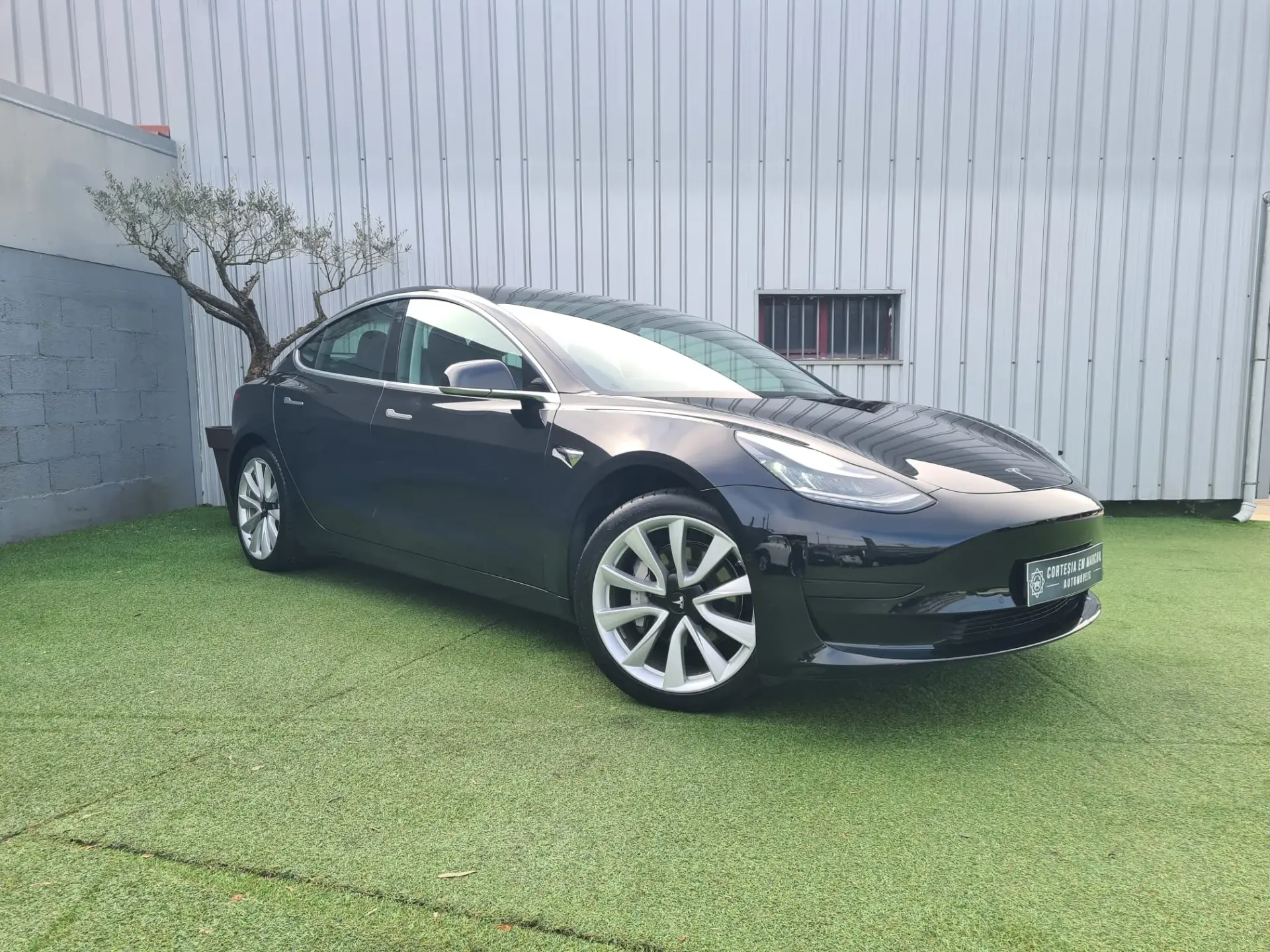 Tesla Model 3 Standard Range Plus RWD 2