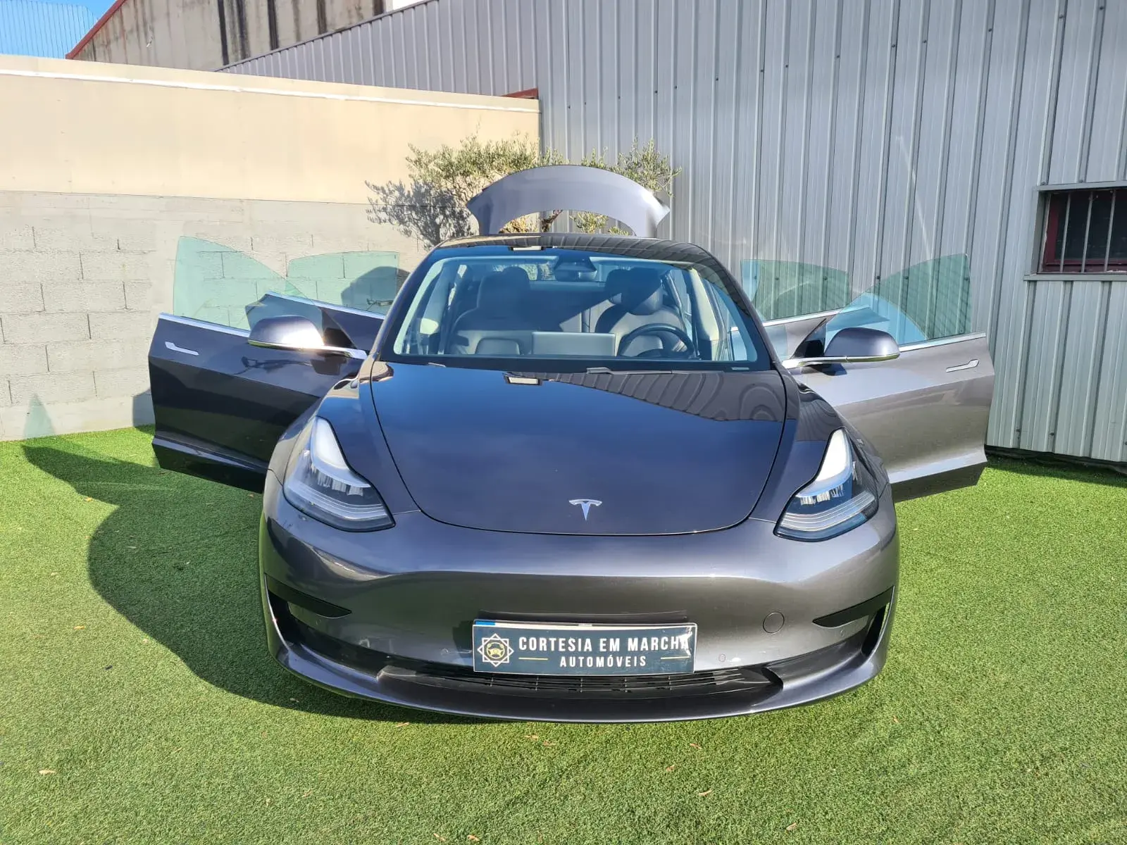 Tesla Model 3 Standard Plus 14