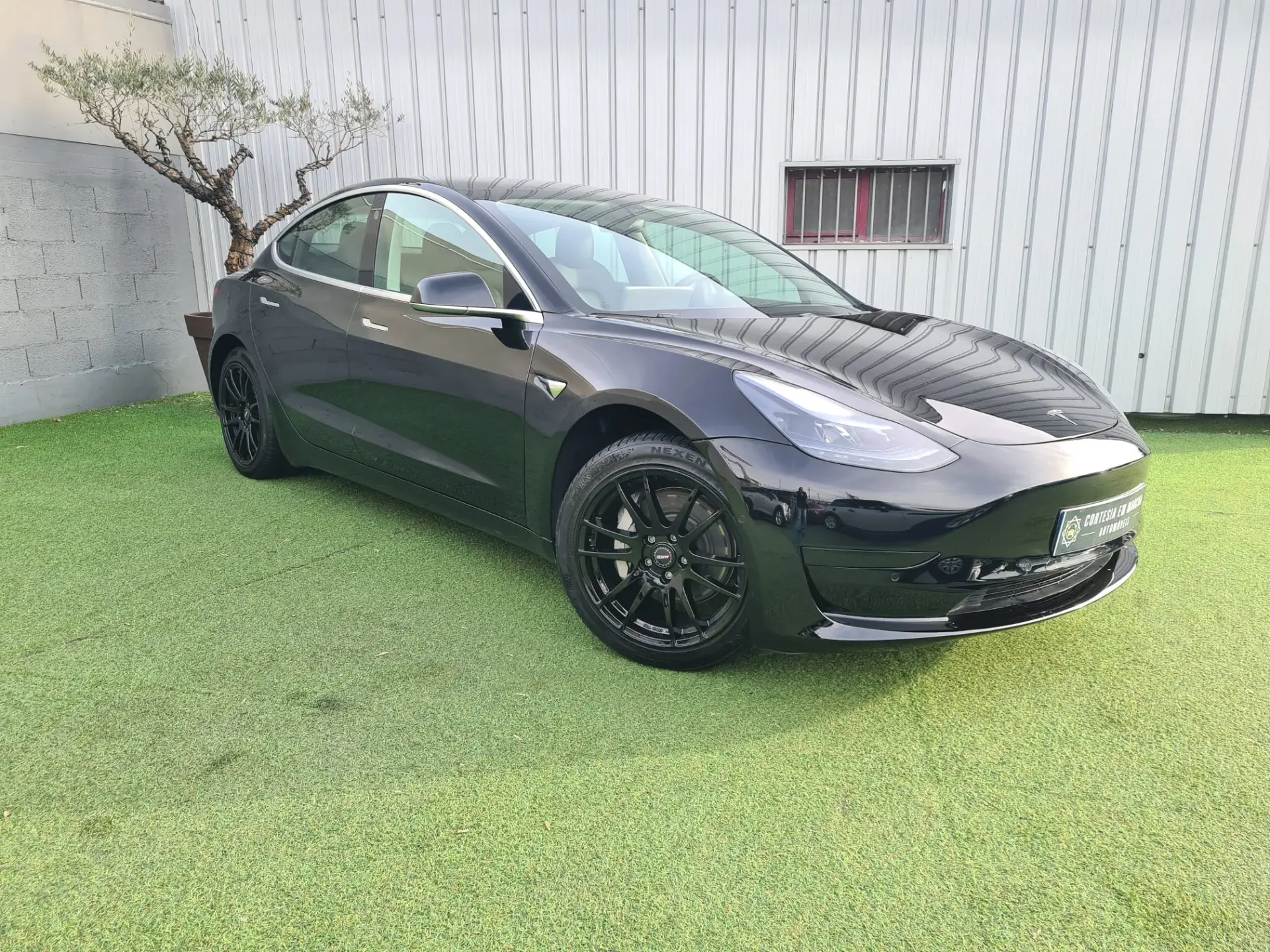 Tesla Model 3 Standard Plus 2