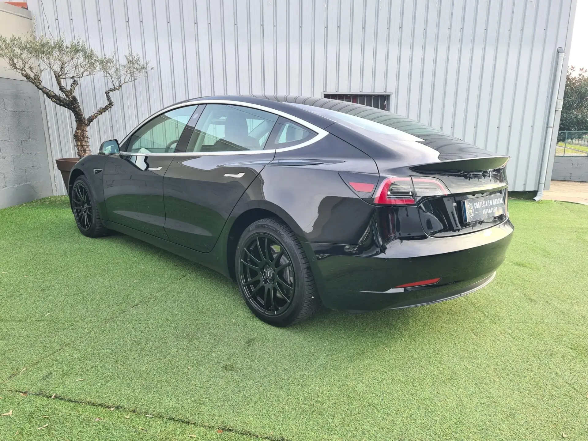 Tesla Model 3 Standard Plus 3