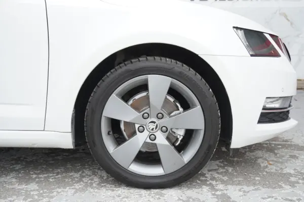 Skoda Octavia Break 1.6 TDI (Green tec) Style 17