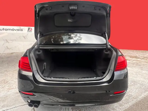 BMW 520 d Line Luxury Auto 14