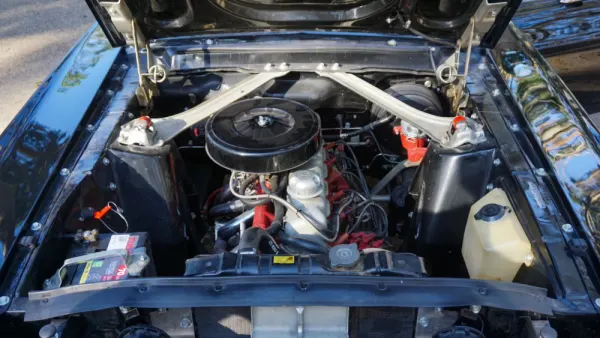 Ford Mustang Cabrio 11