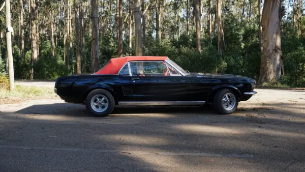 Ford Mustang Cabrio 4