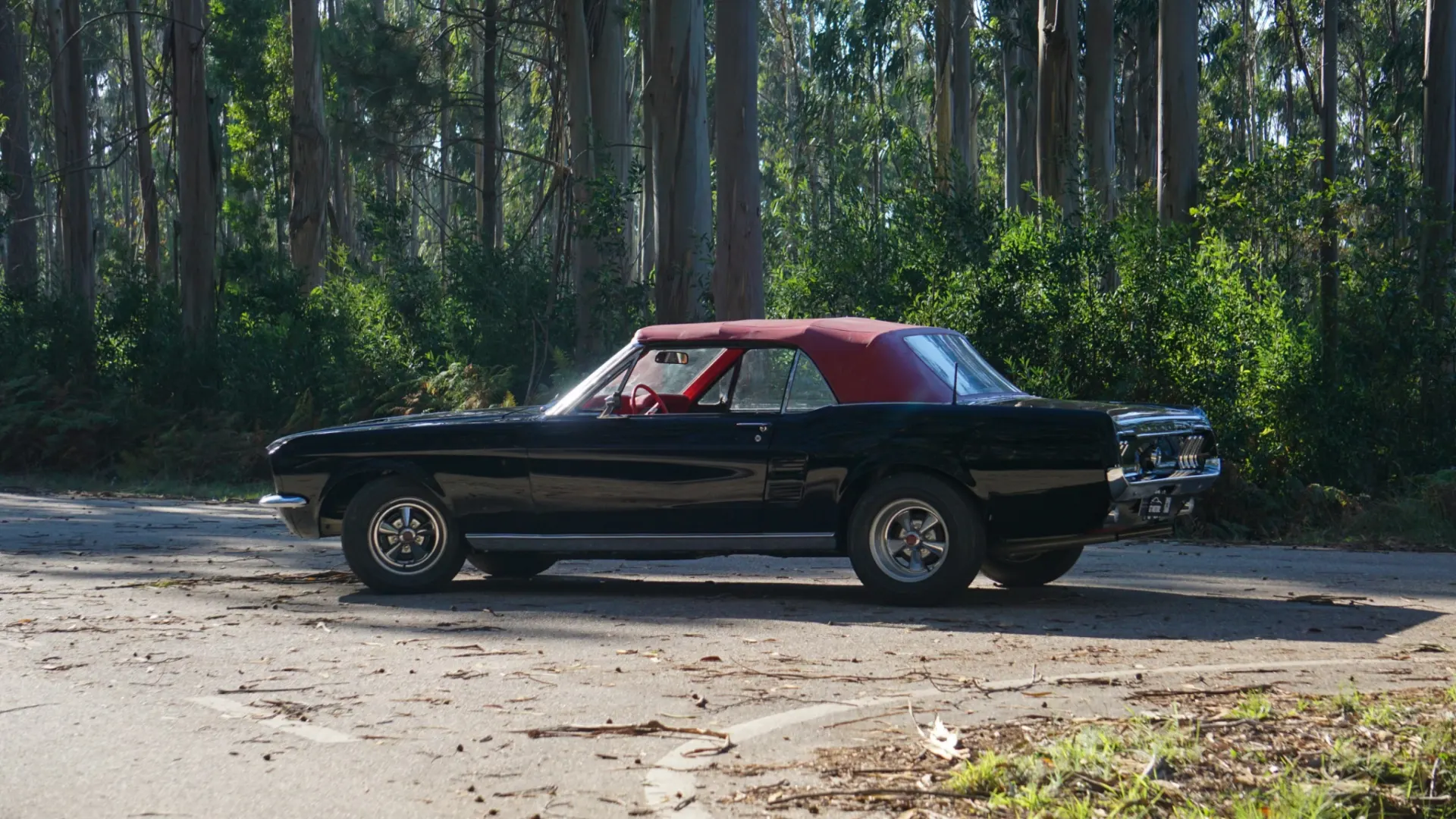 Ford Mustang Cabrio 3