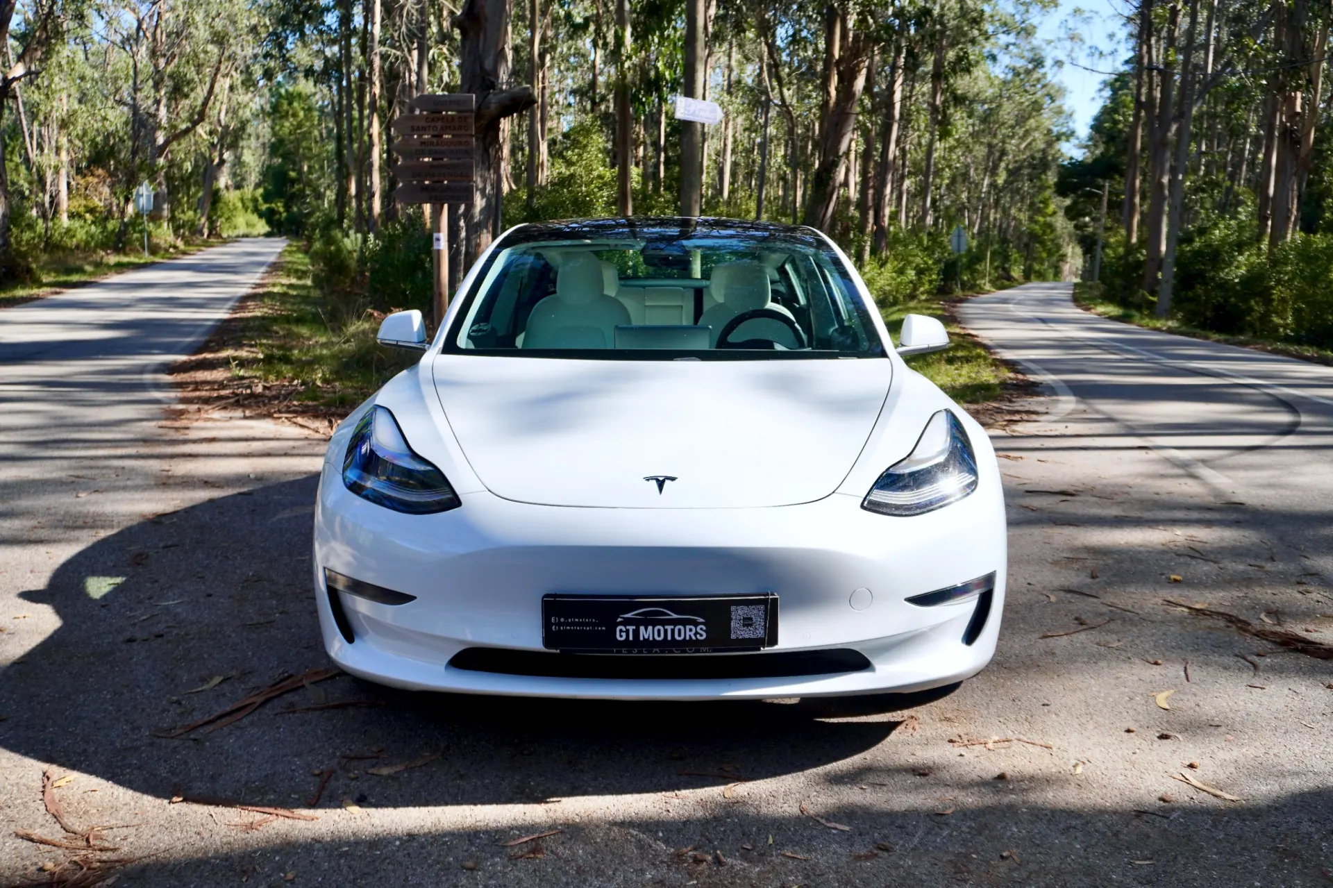Tesla Model 3 Performance Dual Motor AWD 2