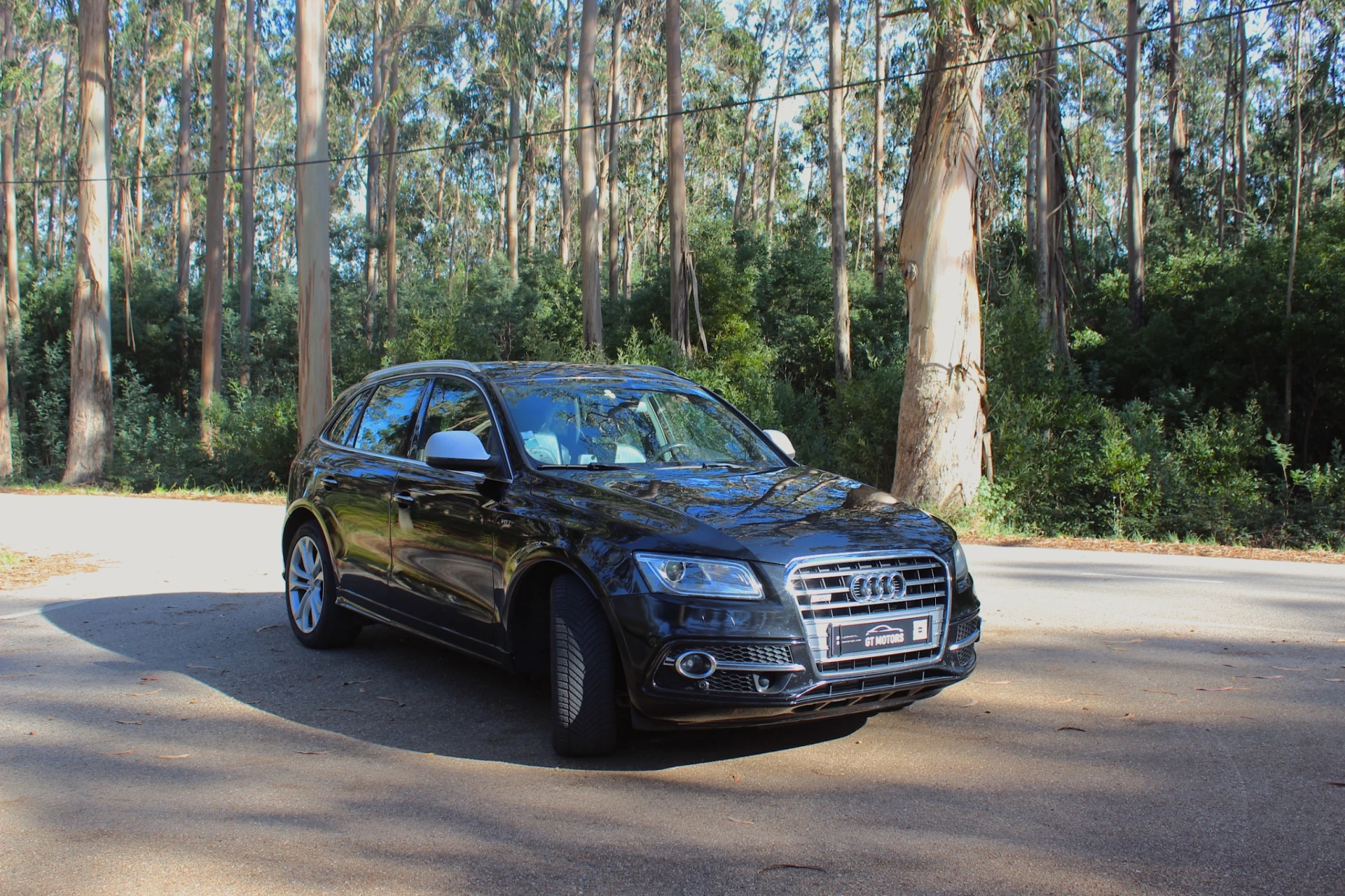 Audi SQ5 3.0 TDi quattro Tiptronic 4