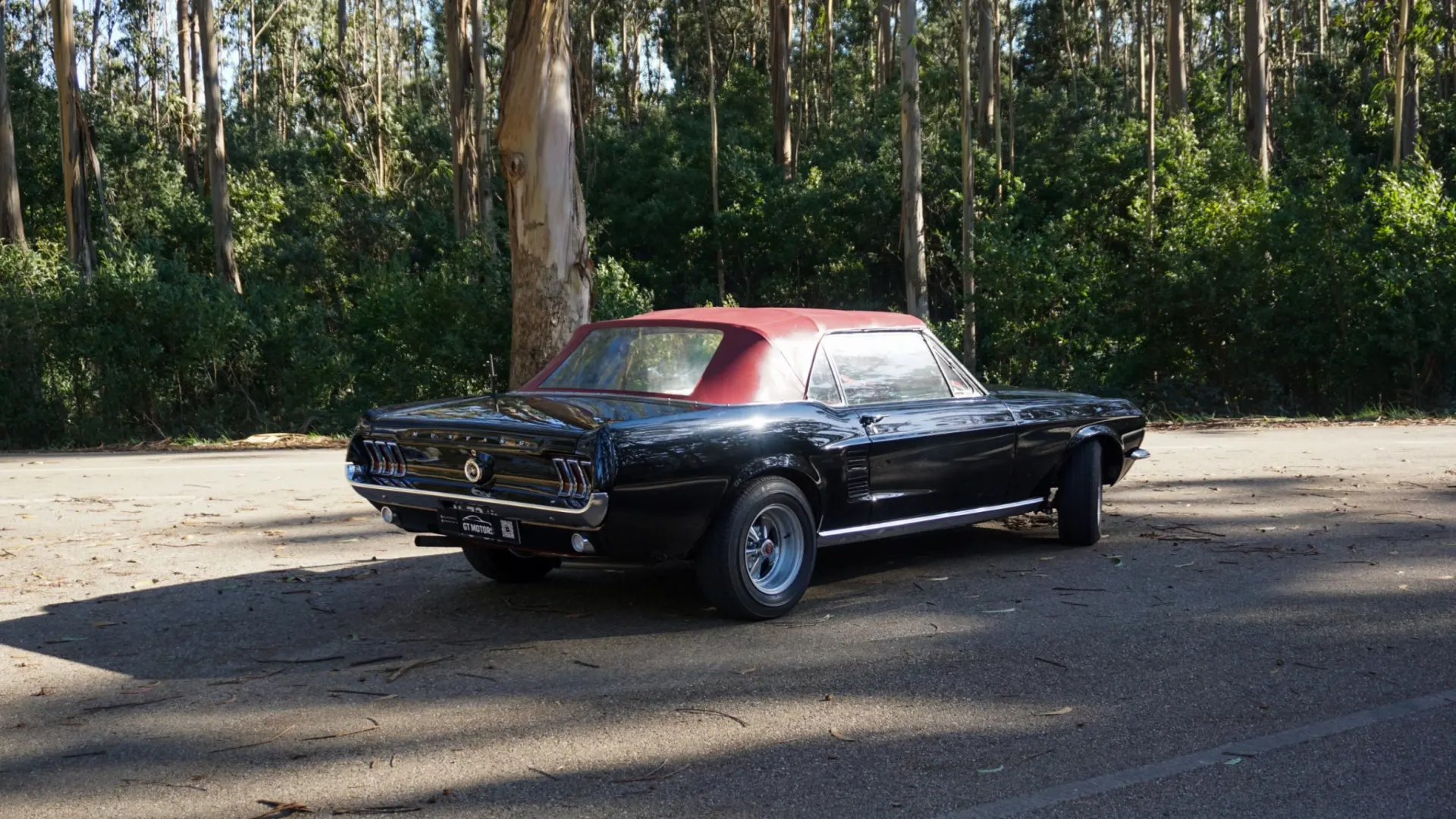 Ford Mustang Cabrio 6