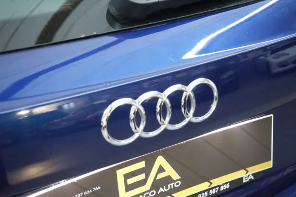 Audi A4 Avant 2.0 TDi Multitronic Exclusive 13