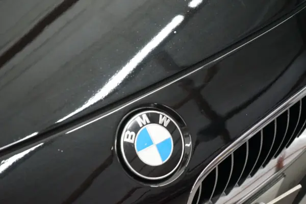 BMW 320 d Line Luxury 8