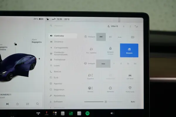 Tesla Model 3 Standard Range Plus RWD 22