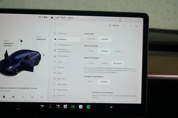 Tesla Model 3 Standard Range Plus RWD 23