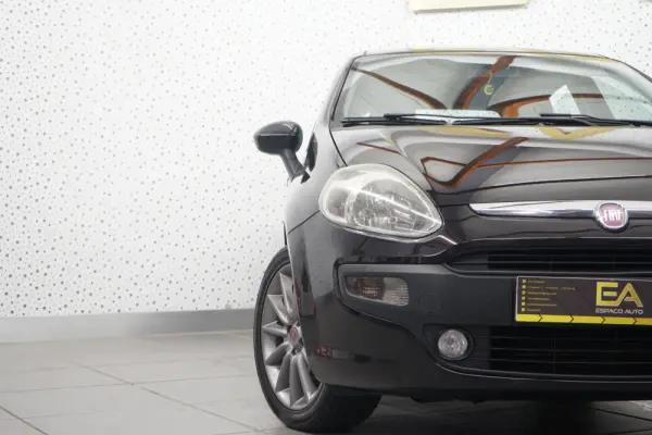 Fiat Punto Evo 1.3 M-Jet Dynamic 33