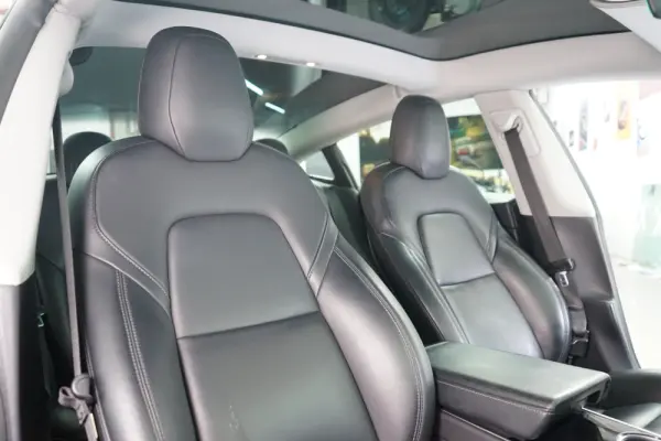 Tesla Model 3 Standard Range Plus RWD 27