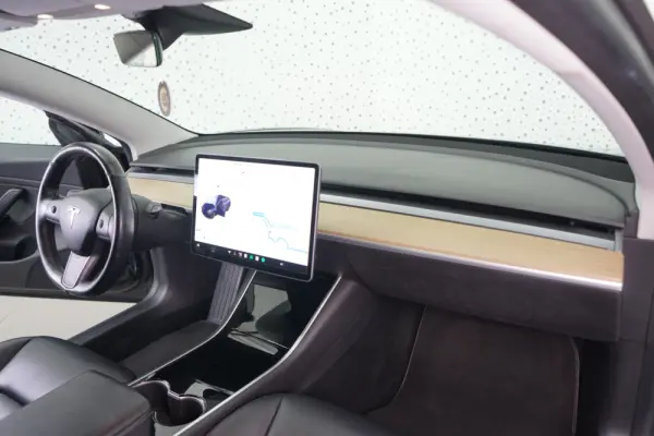 Tesla Model 3 Standard Range Plus RWD 12