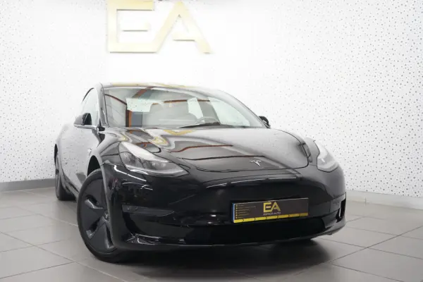 Tesla Model 3 Standard Range Plus RWD 1