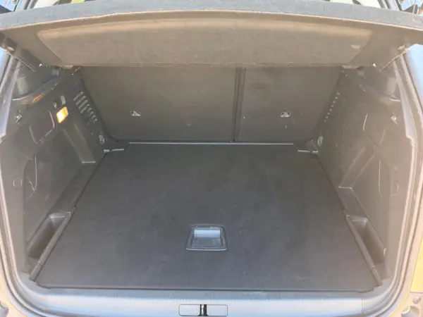 Peugeot 3008 1.5 BlueHDi Active Pack 21