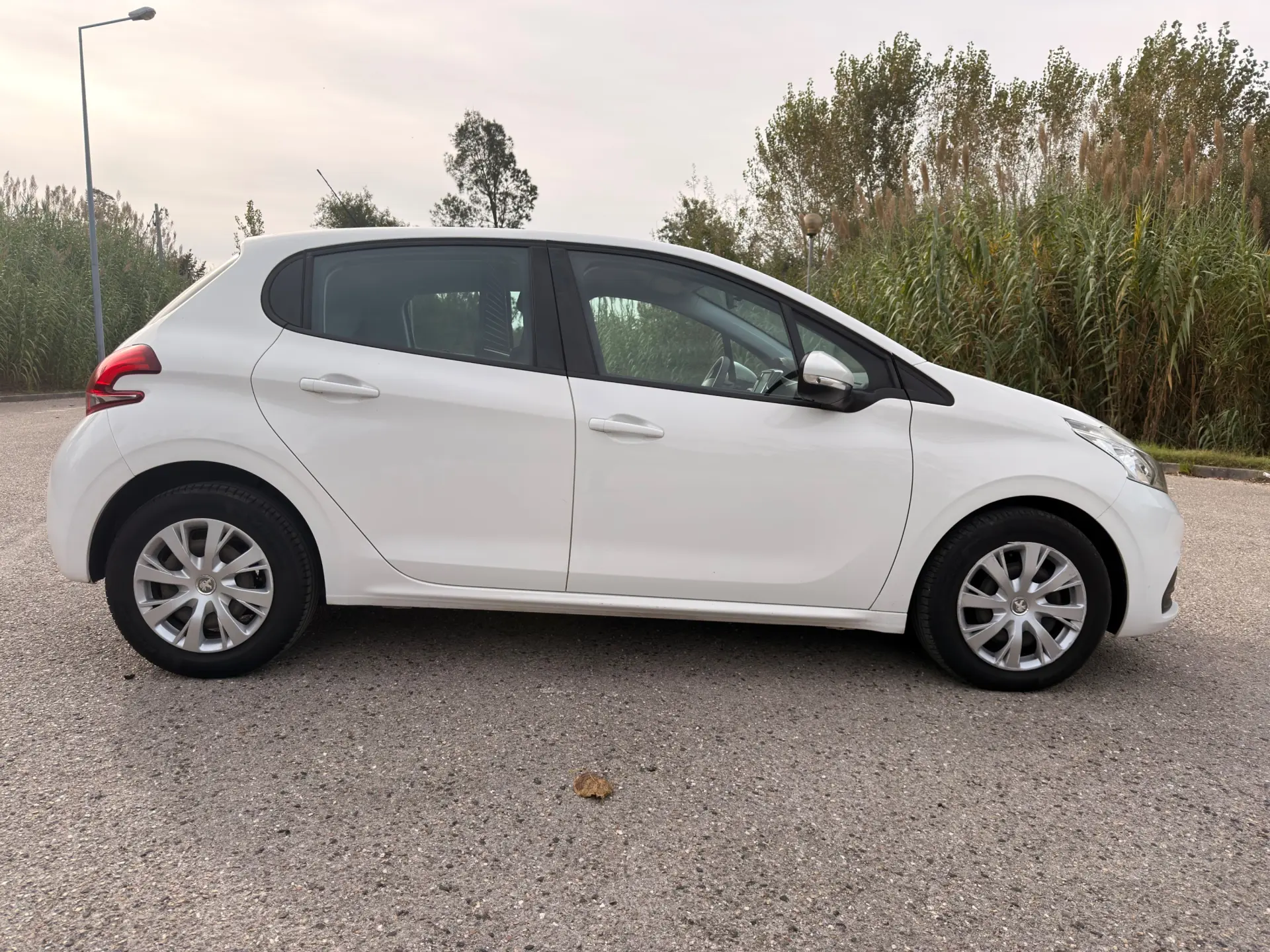 Peugeot 208 1.5 BlueHDi Active Business Pack 8