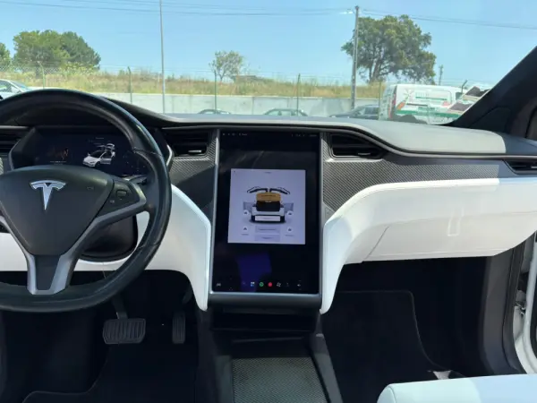 Tesla Model X 100D 8