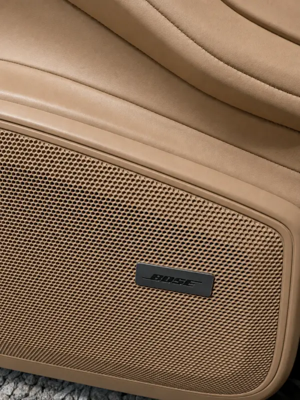 Porsche Panamera 4 E-Hybrid Platinum Edition 14