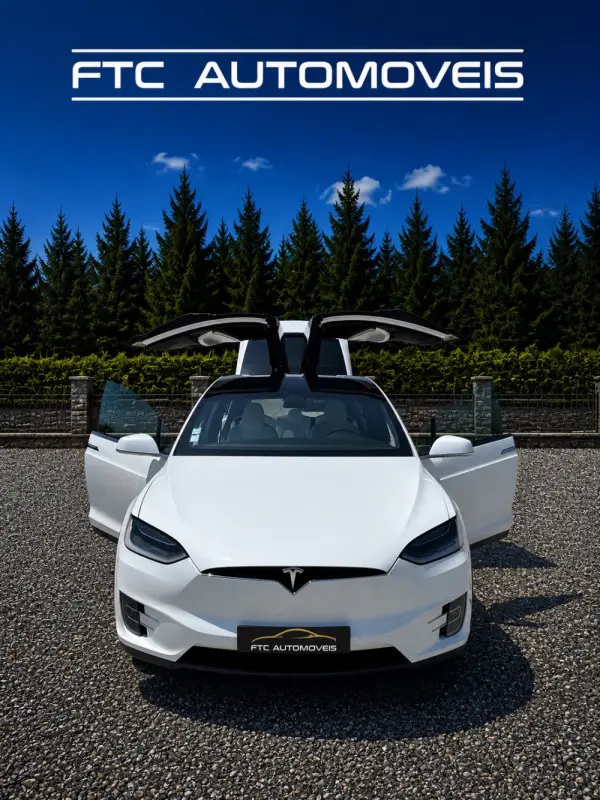 Tesla Model X 100D 7