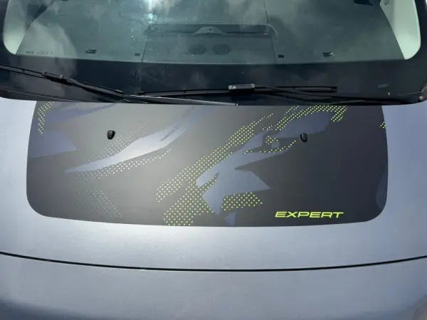 Peugeot Expert Expert 2.0 BlueHDI 180CV EAT8 Asphalt 9