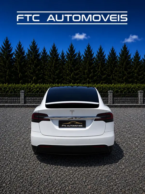 Tesla Model X 100D 4