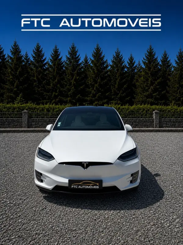 Tesla Model X 100D 2