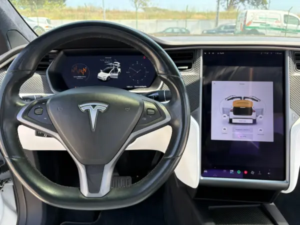 Tesla Model X 100D 9