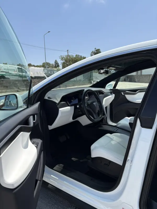 Tesla Model X 100D 10