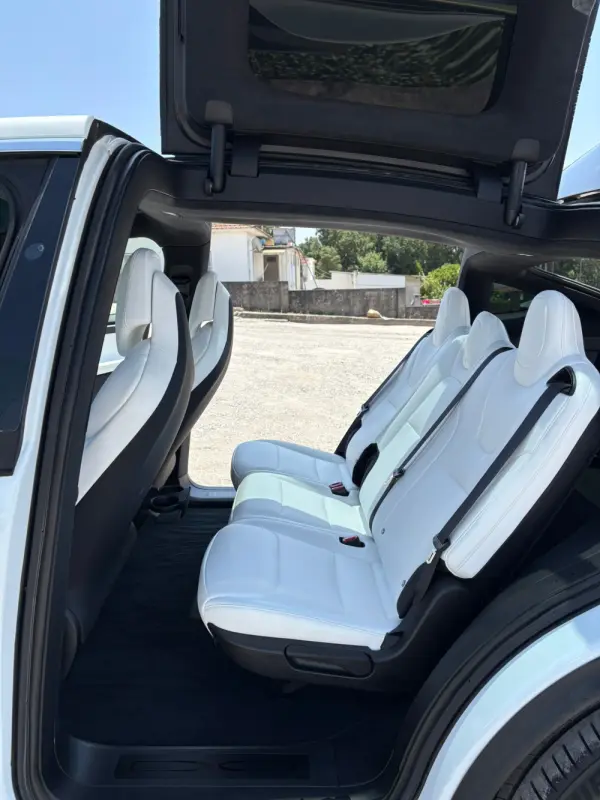 Tesla Model X 100D 13