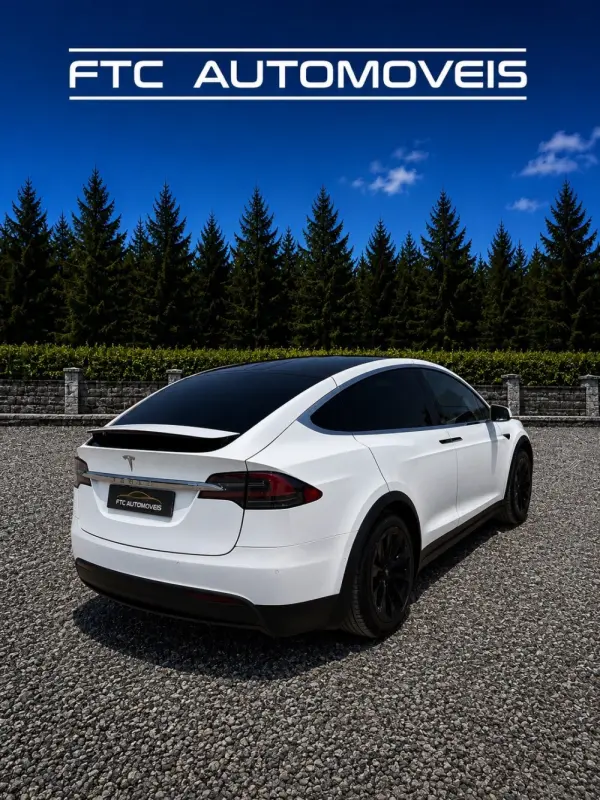 Tesla Model X 100D 6