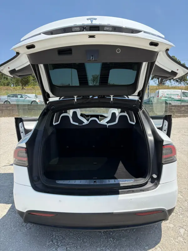 Tesla Model X 100D 14