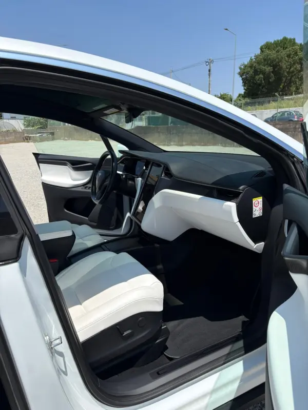 Tesla Model X 100D 11
