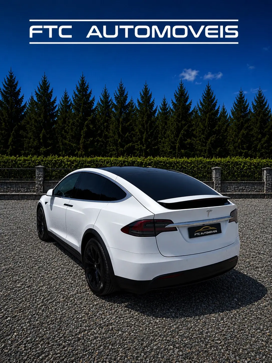 Tesla Model X 100D 5