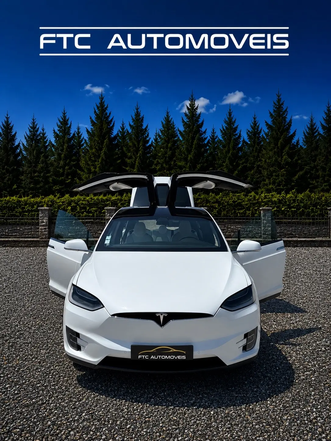 Tesla Model X 100D 7
